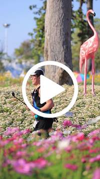 BIB:  <button type="button" onclick="openModal(27588539)" class="btn btn-primary btn-sm float-right" data-toggle="modal" data-target=".modal-high-quality">
                <i class="fa fa-download"></i> Download
                </button>